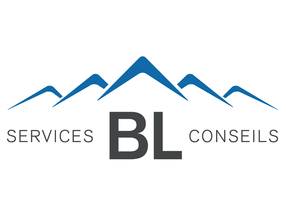 Services-conseils BL