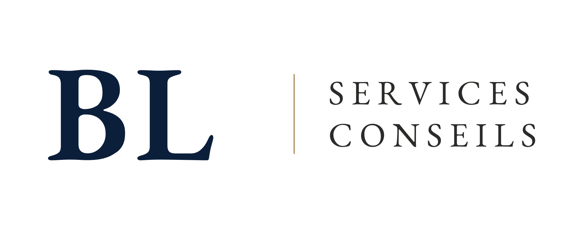 Services-conseils BL